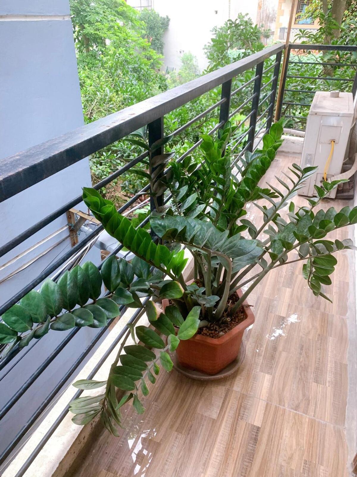 Entire House With 4 Rooms-1km To West Căn hộ Hà Nội